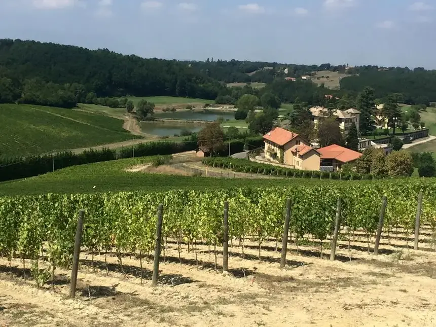 La Bollina Winery, Piedmont