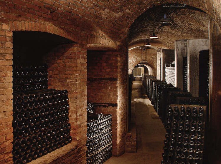 Coppo wine Cellars