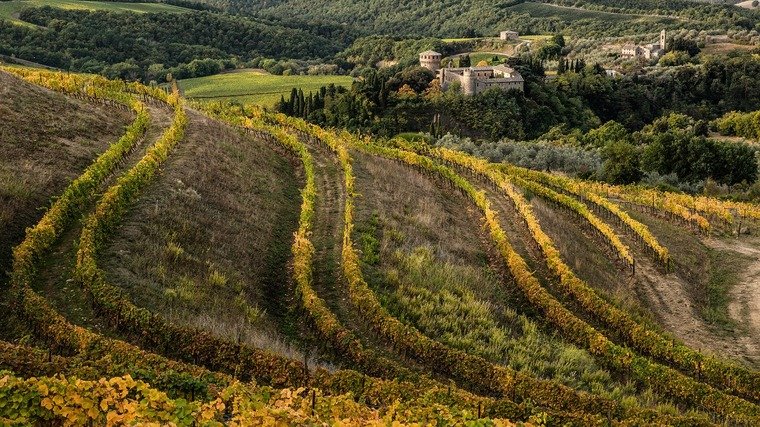 Antinori Wineries, Chianti